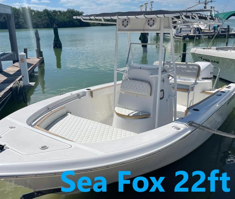 Sea Fox 22ft